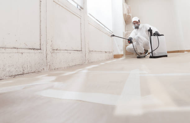 24/7 Emergency Black Mold Removal experts in Darien, GA